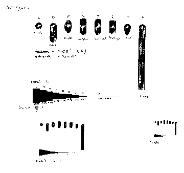 The basic components of the PCB.