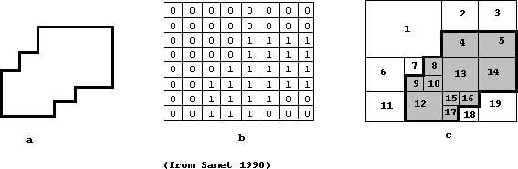(a) a region (b) its binary array (c) maximal blocks